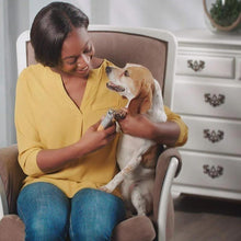 Last inn bildet i Galleri-visningsprogrammet, BELYST SPIKRESKLIPPER