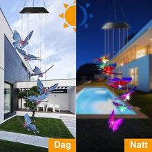 Last inn bildet i Galleri-visningsprogrammet, Soldrevet sommerfugllys