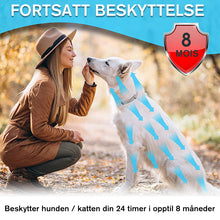 Last inn bildet i Galleri-visningsprogrammet, Justerbar insektavvisende krage for kjæledyr