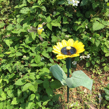 Last inn bildet i Galleri-visningsprogrammet, Dancing Hummingbird With Sunflower