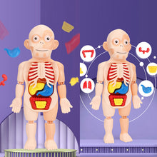 Last inn bildet i Galleri-visningsprogrammet, Barneopplysningsleker