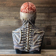 Last inn bildet i Galleri-visningsprogrammet, (🎃Tidlig Halloween-kampanje🎃)Fryktelig skjelett bioman maske