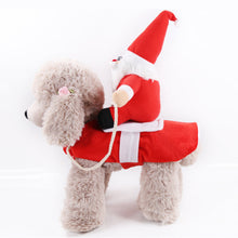 Last inn bildet i Galleri-visningsprogrammet, Pet Horse Riding Costume