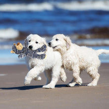 Last inn bildet i Galleri-visningsprogrammet, Uforgjengelig robust bjørn