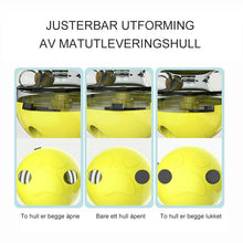 Last inn bildet i Galleri-visningsprogrammet, Interaktiv Kattematte