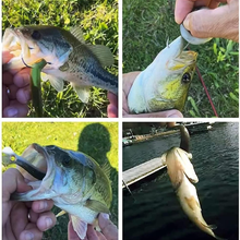 Last inn bildet i Galleri-visningsprogrammet, Myke lokker med flere segmenter