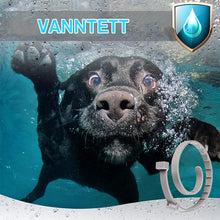 Last inn bildet i Galleri-visningsprogrammet, Justerbar insektavvisende krage for kjæledyr