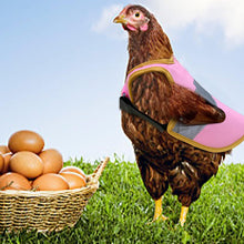 Last inn bildet i Galleri-visningsprogrammet, Justerbar kyllingsele Refleksvest for høne kjæledyr
