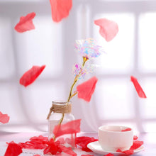 Last inn bildet i Galleri-visningsprogrammet, Fargerik Galaxy Rose med kjærlighet