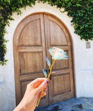 Last inn bildet i Galleri-visningsprogrammet, Colorful Galaxy Rose with Love