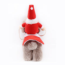 Last inn bildet i Galleri-visningsprogrammet, Pet Horse Riding Costume