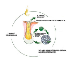 Last inn bildet i Galleri-visningsprogrammet, Fast Natural Hair Growth Spray, 30ml