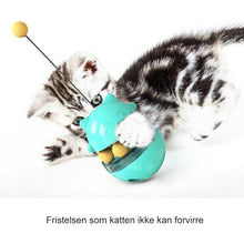 Last inn bildet i Galleri-visningsprogrammet, Interaktiv Kattematte