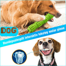 Last inn bildet i Galleri-visningsprogrammet, Hund Tygge Leketøy