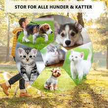 Last inn bildet i Galleri-visningsprogrammet, Hirundo® Elektrisk kjæledyr pleie knute kam