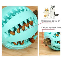 Last inn bildet i Galleri-visningsprogrammet, Dog Chewing Rubber Ball