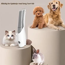 Last inn bildet i Galleri-visningsprogrammet, SAKER® barberings- og sugeintegrert kjæledyrhårklipper