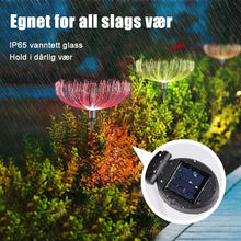 Last inn bildet i Galleri-visningsprogrammet, Soldrevet fiberoptisk lys