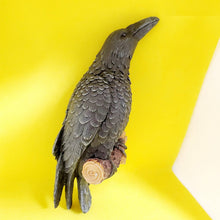Last inn bildet i Galleri-visningsprogrammet, Raven Resin Wall Decoration
