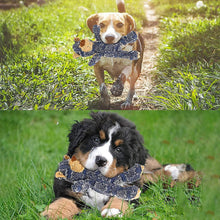 Last inn bildet i Galleri-visningsprogrammet, Uforgjengelig robust bjørn