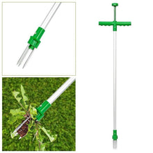 Last inn bildet i Galleri-visningsprogrammet, Ugressfjerner for å fjerne i stående posisjon