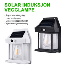 Last inn bildet i Galleri-visningsprogrammet, Solar Tungsten Vegglampe