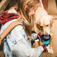 Last inn bildet i Galleri-visningsprogrammet, HUNDVANNFLASKE