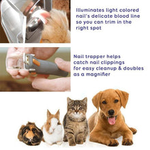 Last inn bildet i Galleri-visningsprogrammet, BELYST SPIKRESKLIPPER