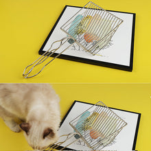 Last inn bildet i Galleri-visningsprogrammet, Premium Kattesandfilter Spad