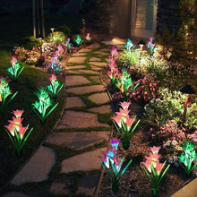Last inn bildet i Galleri-visningsprogrammet, Soldrevet LED Blomstepinne Sett
