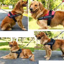 Last inn bildet i Galleri-visningsprogrammet, Reflective all-in-one No Pull Dog Harness