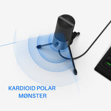 Last inn bildet i Galleri-visningsprogrammet, USB-opptak mikrofon