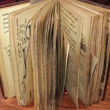 Last inn bildet i Galleri-visningsprogrammet, Graldagboken - Replika av vifte