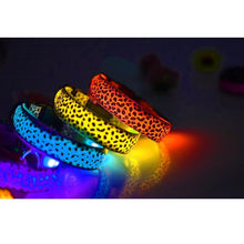 Last inn bildet i Galleri-visningsprogrammet, LED lysende hundehalsbÄnd