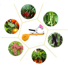 Last inn bildet i Galleri-visningsprogrammet, Profesjonell plantebinding maskin