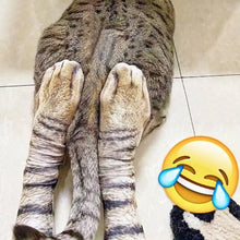 Last inn bildet i Galleri-visningsprogrammet, 3D-utskriftsnyhet dyrepotesokker