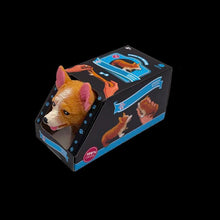 Last inn bildet i Galleri-visningsprogrammet, Squishy Pug Hundeleke