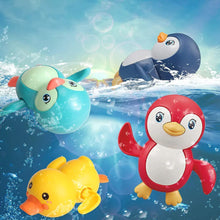 Last inn bildet i Galleri-visningsprogrammet, Svømmende pingvin