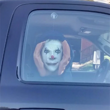 Last inn bildet i Galleri-visningsprogrammet, Skremmende Peeper Creeper