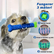 Last inn bildet i Galleri-visningsprogrammet, Hunde Tygge Tannbørste | Tenn rengjørings Leketøy