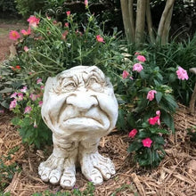 Last inn bildet i Galleri-visningsprogrammet, Funny Expression Flowerpot
