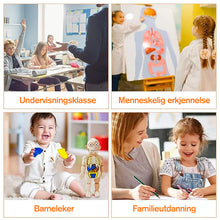 Last inn bildet i Galleri-visningsprogrammet, Barneopplysningsleker
