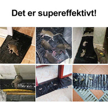 Last inn bildet i Galleri-visningsprogrammet, Sense Musefelle
