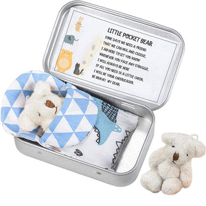Teddy Bear in a Tin Box