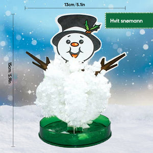 3 i 1 Mini julgran magi växande