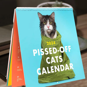 Kattekalender 2024