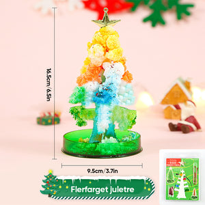 3 i 1 Mini julgran magi växande