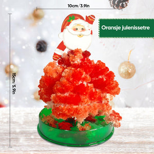 3 i 1 Mini julgran magi växande