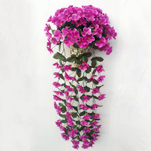 Last inn bildet i Galleri-visningsprogrammet, Violetter Blumenampel der Simulation
