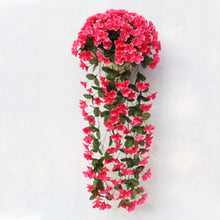 Last inn bildet i Galleri-visningsprogrammet, Violetter Blumenampel der Simulation
